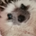 Marco Martins TPSIPL1223's avatar